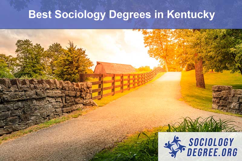 Best Online Sociology Degrees in Kentucky